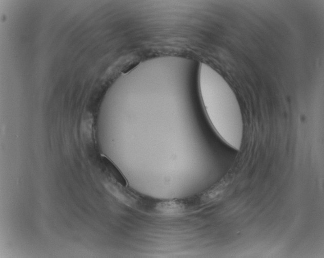 X0000068770231200604281026