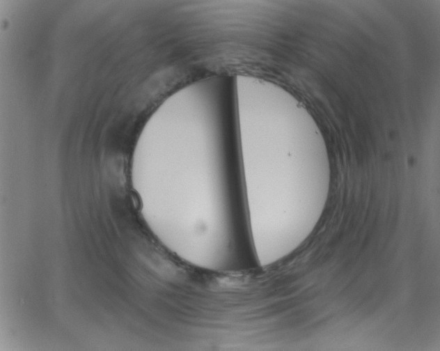 X0000068770232200604281026