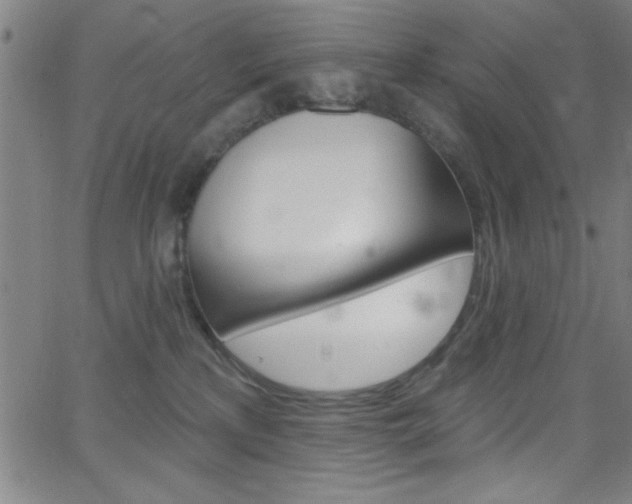 X0000068770233200604281026