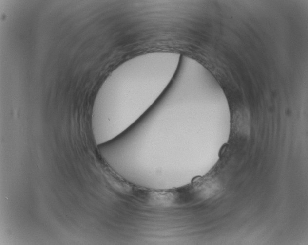 X0000068770234200604281026