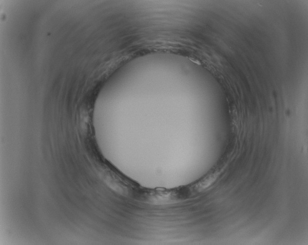 X0000068770235200604281026