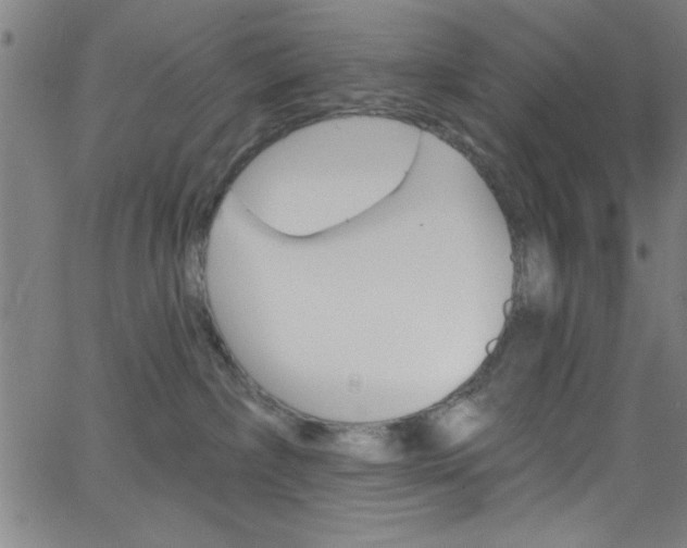 X0000068770236200604281026