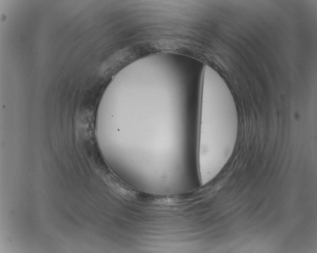 X0000068770237200604281026