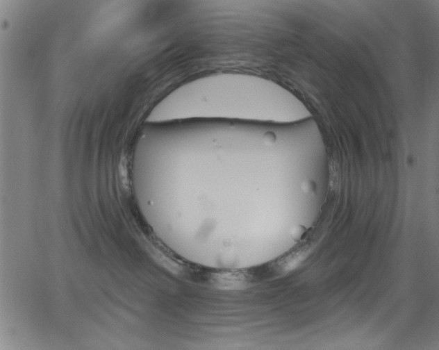 X0000068770238200604281026