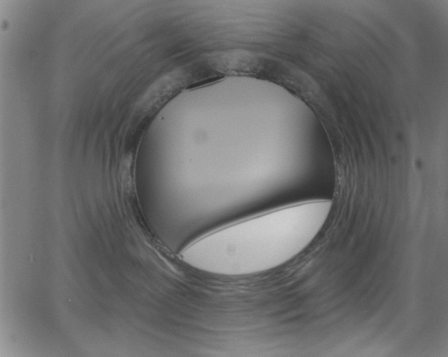 X0000068770239200604281026