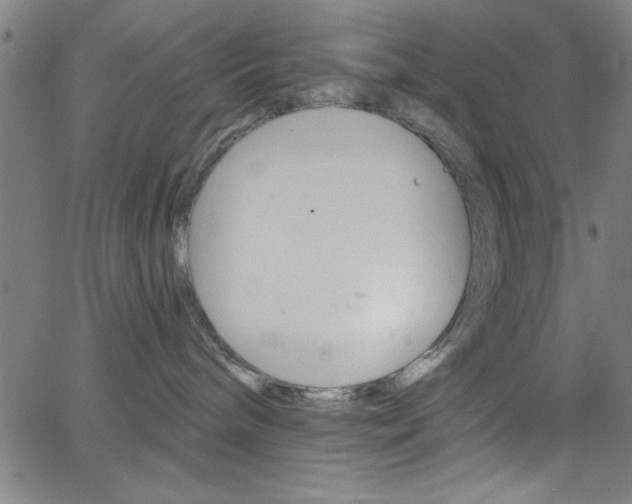 X0000068770240200604281026