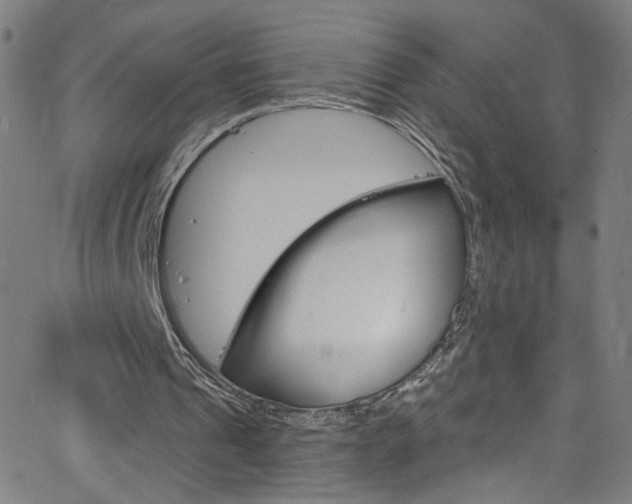 X0000068770241200604281025