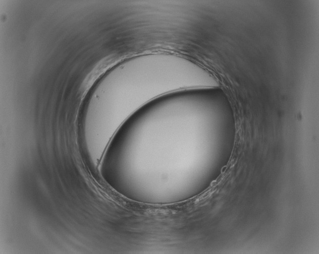 X0000068770242200604281025