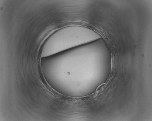 X0000068770243200604281025