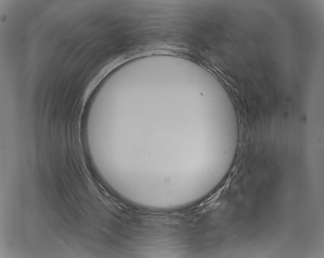 X0000068770244200604281025