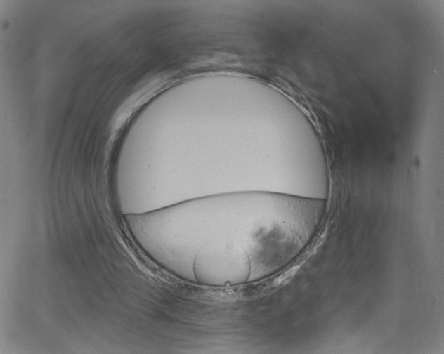 X0000068770245200604281025