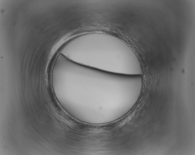 X0000068770246200604281025