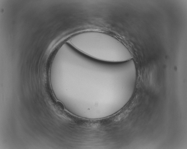 X0000068770247200604281025