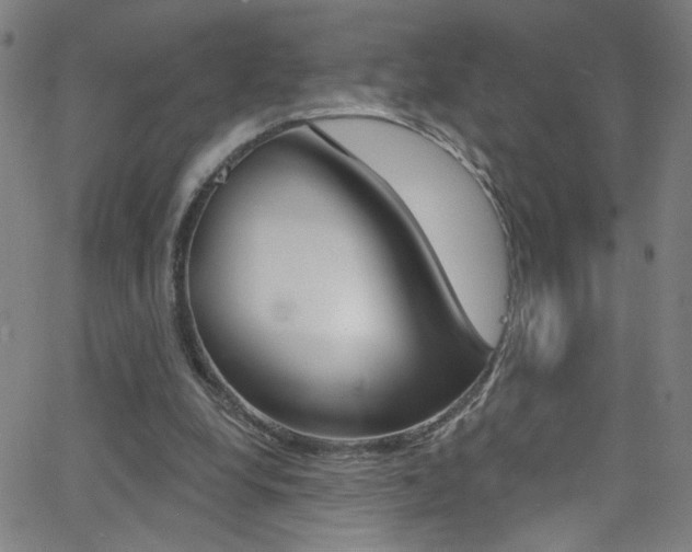 X0000068770248200604281025