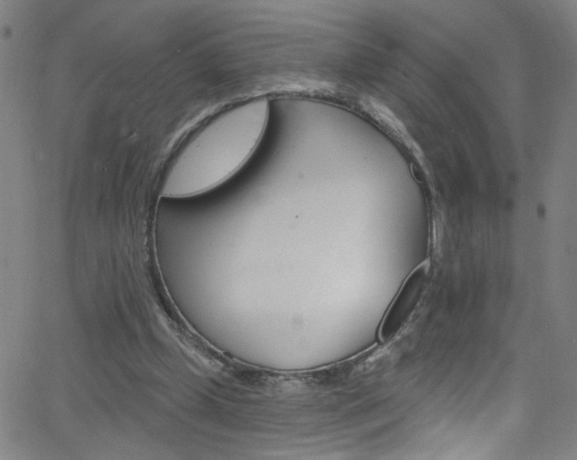 X0000068770249200604281025