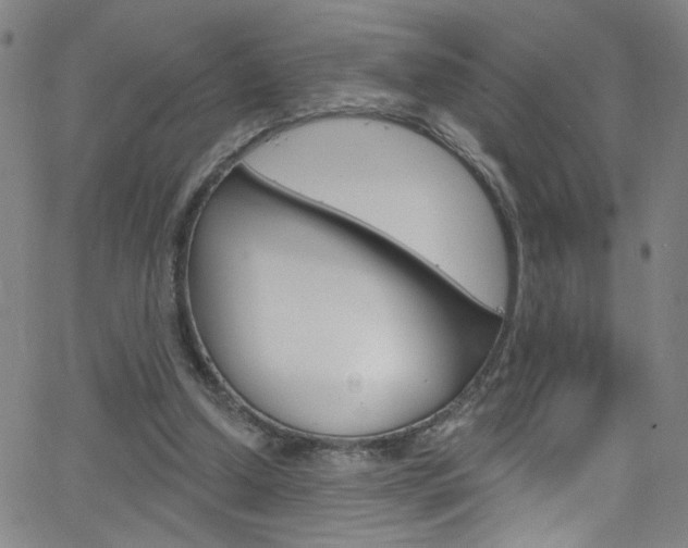 X0000068770250200604281025