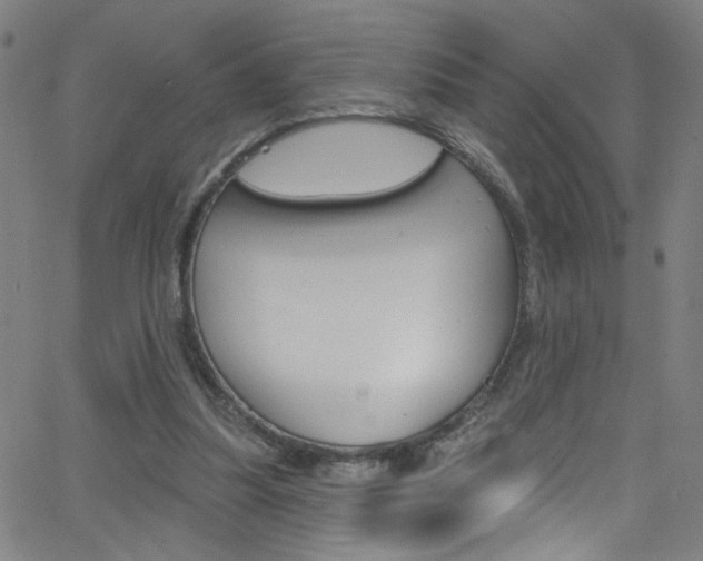 X0000068770251200604281025