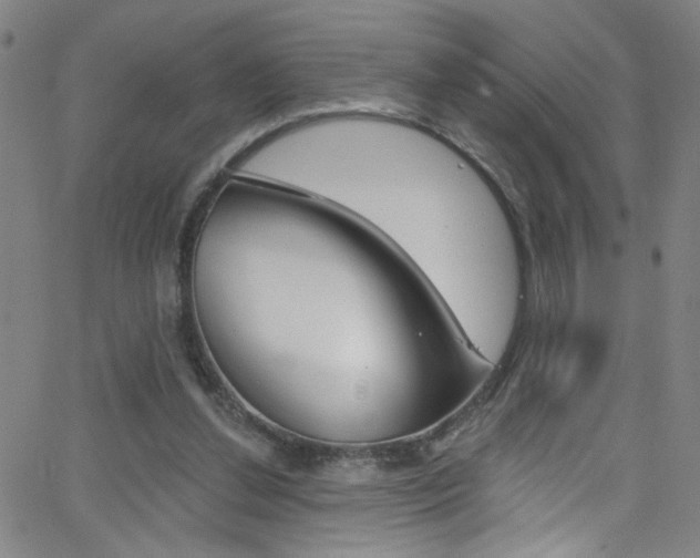 X0000068770252200604281025