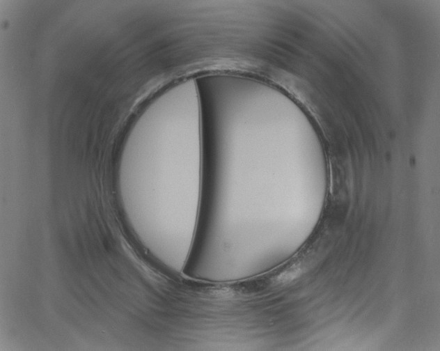 X0000068770253200604281025