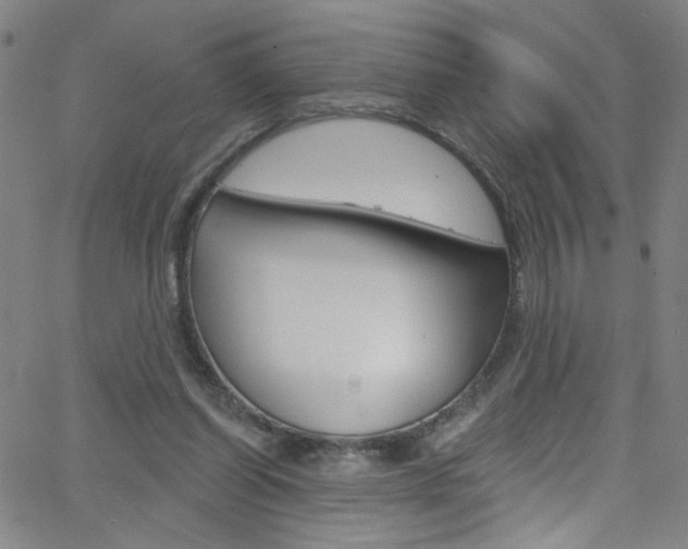 X0000068770254200604281025