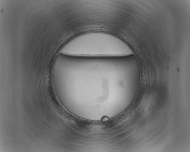 X0000068770255200604281025