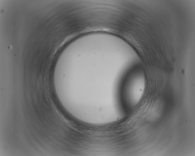 X0000068770256200604281025