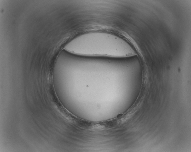 X0000068770257200604281025