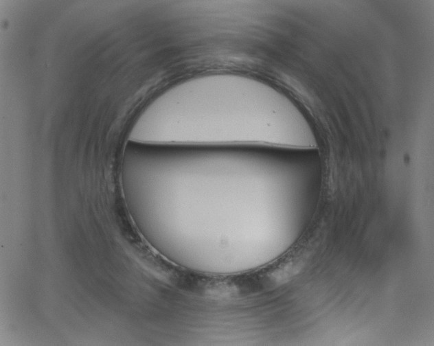 X0000068770258200604281025