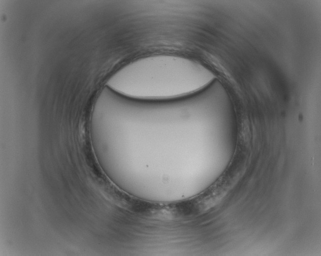 X0000068770259200604281025