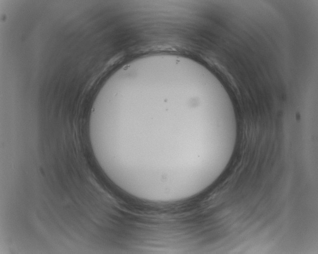 X0000068770260200604281025