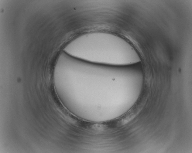 X0000068770261200604281025