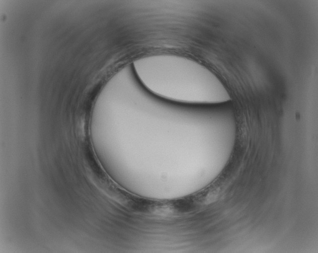 X0000068770262200604281025