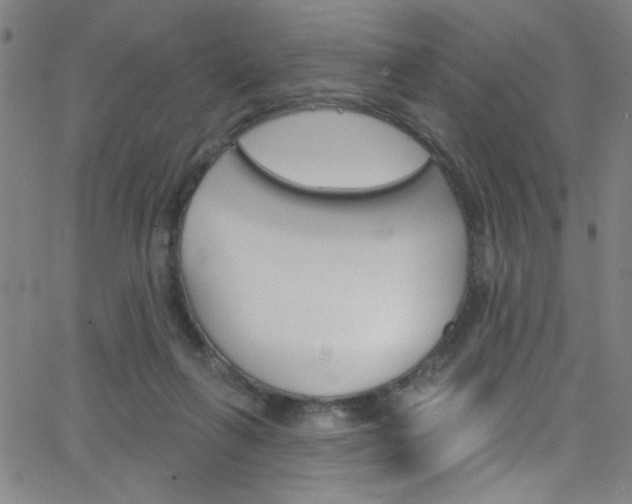 X0000068770263200604281025