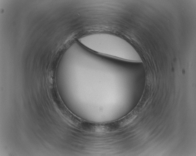 X0000068770264200604281025