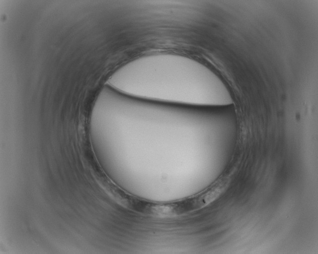 X0000068770265200604281025