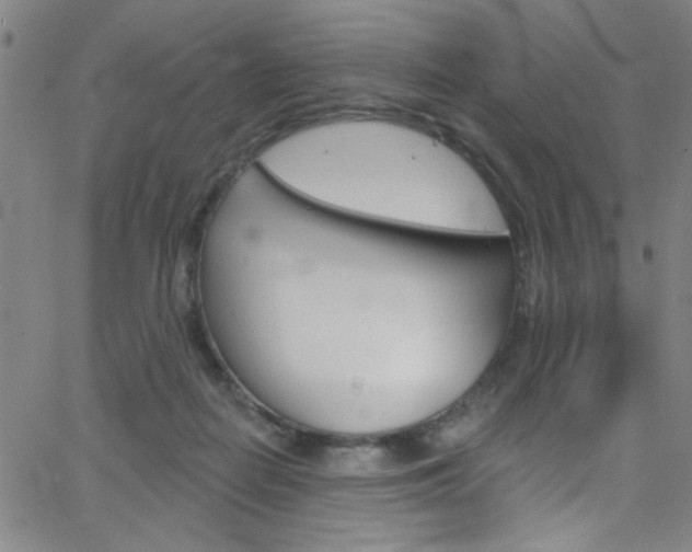 X0000068770266200604281025