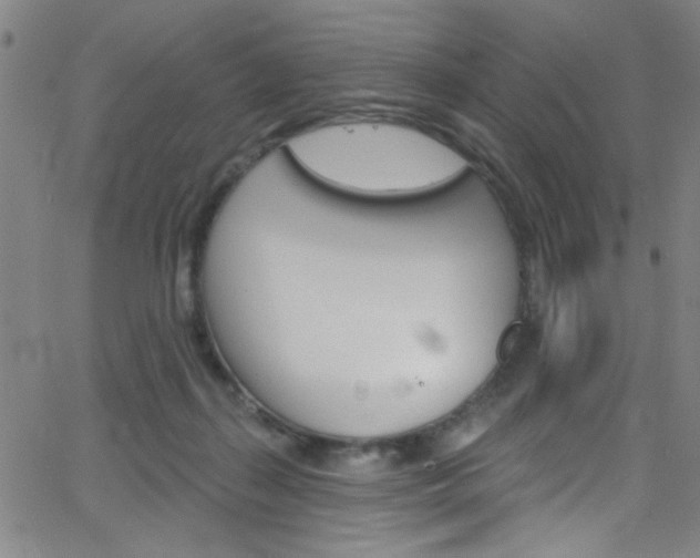 X0000068770267200604281025