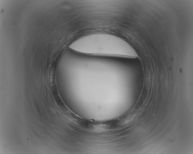 X0000068770268200604281025