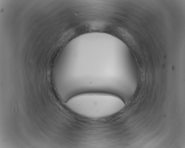 X0000068770269200604281025