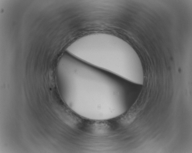 X0000068770270200604281025