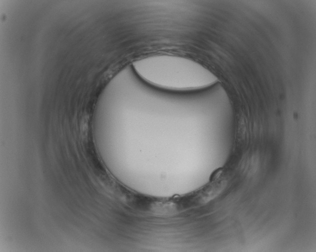 X0000068770271200604281025