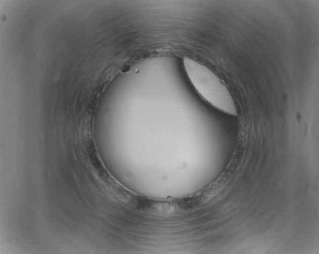 X0000068770272200604281025