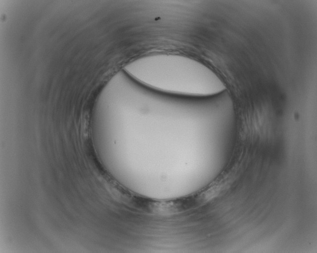 X0000068770273200604281025