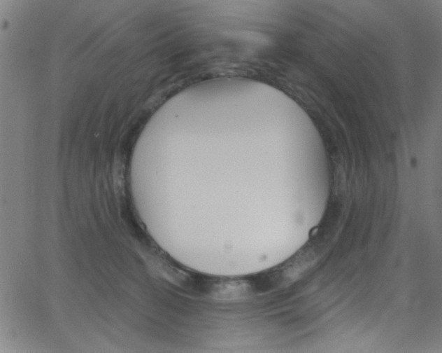 X0000068770274200604281025