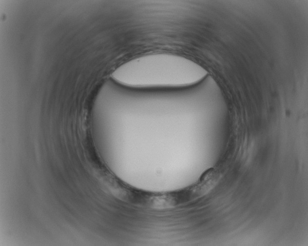 X0000068770275200604281025