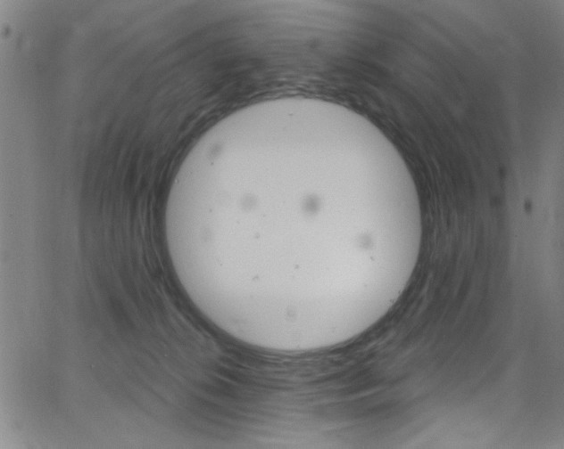 X0000068770276200604281025