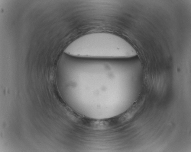 X0000068770277200604281025