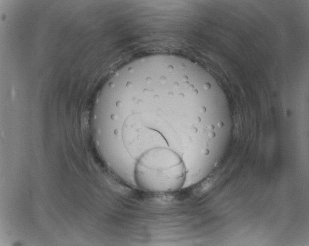 X0000068770278200604281025