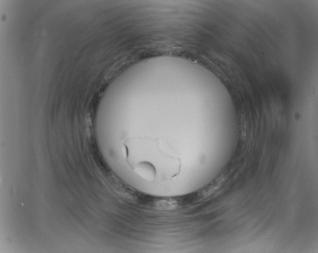 X0000068770279200604281025