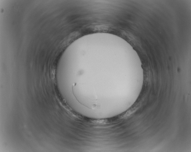 X0000068770281200604281025